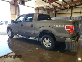 2009 Ford F-150 XL with VIN 1FTRW14879FB39001, listed as a Copart auction lot 53269955 with 123,871 mi miles and Clean Title. Bid and sale history available at carsss.com. Image 2.