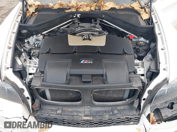 2010 BMW X6 M with VIN 5YMGZ0C52ALK13325, listed as a IAAI auction lot 40819581 with 134,282 mi miles. Bid and sale history available at carsss.com. Image 10.