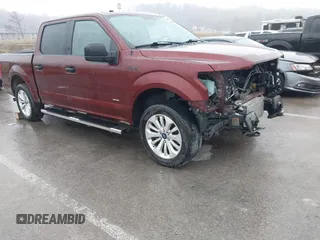 2016 Ford F-150 XLT with VIN 1FTEW1EP4GKD45398, listed as a IAAI auction lot 41478693 with 177,805 mi miles. Bid and sale history available at carsss.com. Image 19.