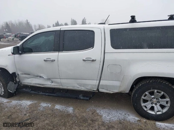 2017 Chevrolet Colorado 4WD LT with VIN 1GCPTCE10H1172303, listed as a IAAI auction lot 41572166 with 141,341 mi miles. Bid and sale history available at carsss.com. Image 14.