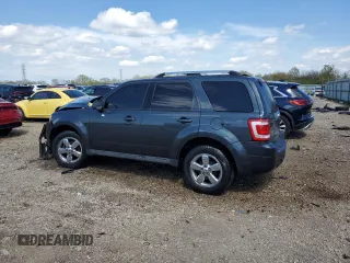 2009 Ford Escape Limited with VIN 1FMCU04G99KA65225, listed as a Copart auction lot 55912495 with 161,849 mi miles and Salvage title. Bid and sale history available at DreamBid. Image 2.