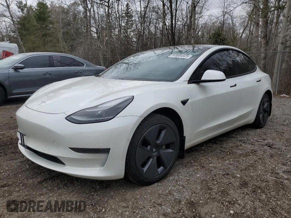 2021 Tesla Model 3 Standard Range Plus z VIN 5YJ3E1EA0MF906162, wystawiony jako Copart lot #53004925 z przebiegiem 149 163 mil mil oraz Tytuł czysty. Historia ofert i sprzedaży dostępna na DreamBid. Obrazek 1.