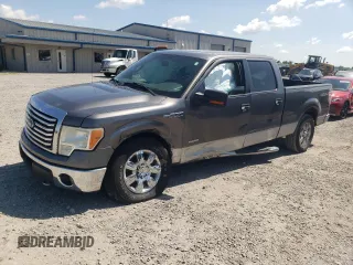 2011 Ford F-150 XLT z VIN 1FTFW1ET9BFB01233, wystawiony jako Copart lot #61613705 z przebiegiem 273 611 mil mil oraz Szkoda całkowita • Salvage title. Historia ofert i sprzedaży dostępna na DreamBid. Obrazek 1.