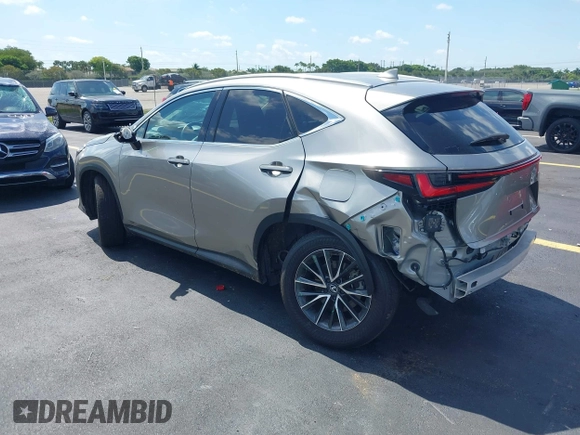 2024 Lexus NX 250 с VIN 2T2ADCAZ3RC009989, выставлен на аукционе IAAI как лот 42331593 с пробегом 14 240 миль миль и . История ставок и продаж доступна на DreamBid. Изображение 3.