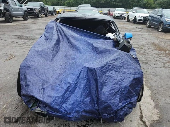 2017 Ford Mustang GT with VIN 1FA6P8CF1H5203696, listed as a Copart auction lot 63377405 with Not provided miles and Salvage title. Bid and sale history available at DreamBid. Image 13.