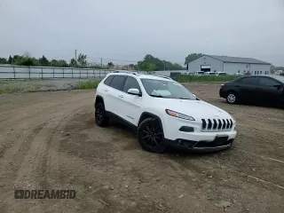2016 Jeep Cherokee Limited with VIN 1C4PJMDB9GW244574, listed as a Copart auction lot 59346415 with 140,305 mi miles and Salvage title. Bid and sale history available at DreamBid. Image 14.