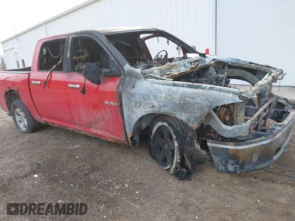 2009 Dodge 1500 SLT with VIN 1D3HV13T59J527076, listed as a IAAI auction lot 41551202 with Not Provided miles. Bid and sale history available at carsss.com. Image 1.