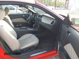 2014 Ford Mustang V6 with VIN 1ZVBP8EM9E5275890, listed as a IAAI auction lot 42101000 with 176,628 mi miles. Bid and sale history available at carsss.com. Image 5.
