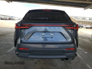 2025 Lexus NX 250 with VIN JTJADCAZ0S5024650, listed as a Copart auction lot 53031545 with 4,736 mi miles and Salvage title. Bid and sale history available at DreamBid. Image 6.