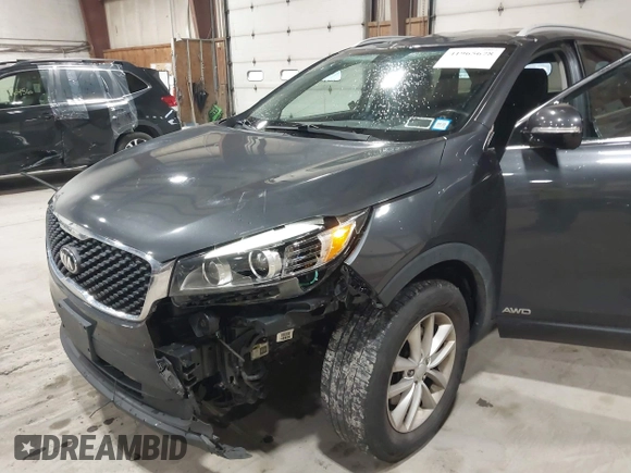 2017 Kia Sorento LX with VIN 5XYPGDA38HG250523, listed as a IAAI auction lot 41965678 with 100,794 mi miles. Bid and sale history available at carsss.com. Image 18.