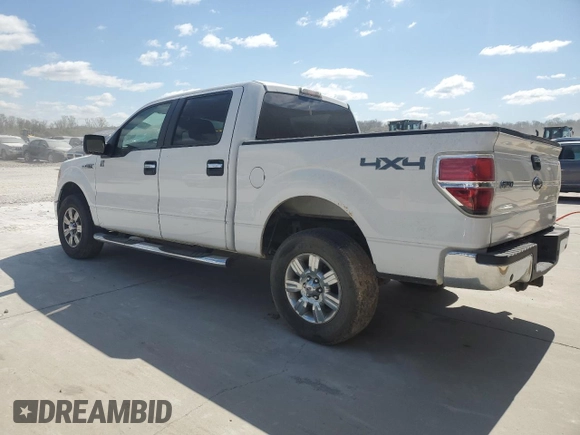 2010 Ford F-150 XL with VIN 1FTFW1EV9AFA76530, listed as a Copart auction lot 51303695 with 261,542 mi miles and Salvage Title. Bid and sale history available at DreamBid. Image 2.