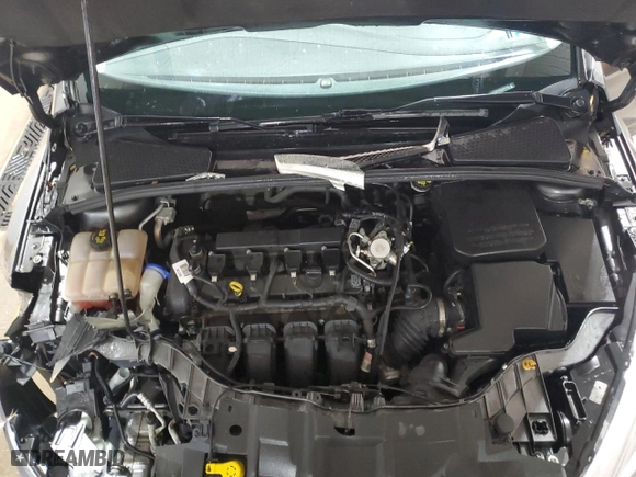 2016 Ford Focus SE with VIN 1FADP3F24GL357543, listed as a Copart auction lot 50179005 with NaN miles and Salvage Title. Bid and sale history available at carsss.com. Image 11.