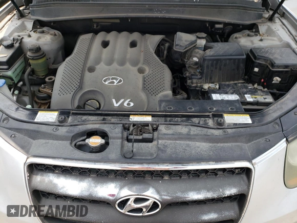 2007 Hyundai Santa Fe GLS with VIN 5NMSG73D17H082911, listed as a Copart auction lot 60974815 with 185,260 mi miles and Clean title. Bid and sale history available at DreamBid. Image 11.