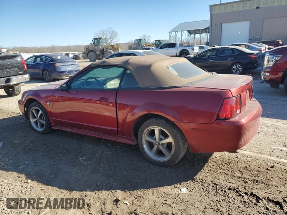 2004 Ford Mustang Deluxe with VIN 1FAFP44684F168134, listed as a Copart auction lot 46898385 with 124,391 mi miles and Salvage Title. Bid and sale history available at carsss.com. Image 2.