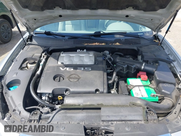 2007 Nissan Maxima SE with VIN 1N4BA41E77C862623, listed as a IAAI auction lot 42660896 with 117,276 mi miles and . Bid and sale history available at DreamBid. Image 10.