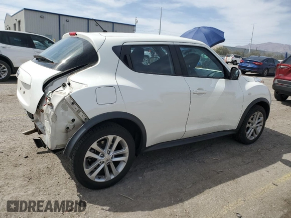 2013 Nissan Juke S with VIN JN8AF5MR2DT216949, listed as a Copart auction lot 53165925 with 124,800 mi miles and Salvage Title. Bid and sale history available at carsss.com. Image 3.