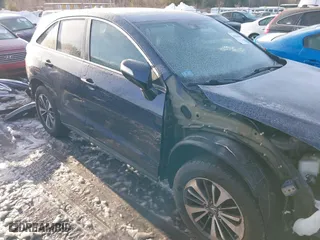 2017 Acura RDX w/Advance Pkg with VIN 5J8TB4H75HL018277, listed as a IAAI auction lot 41516367 with 99,208 mi miles. Bid and sale history available at carsss.com. Image 14.