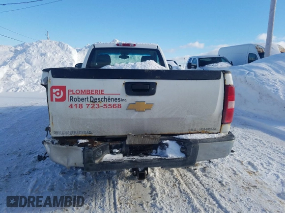 2012 Chevrolet Silverado 1500 Work Truck with VIN 1GCNKPEAXCZ217470, listed as a Copart auction lot 45476725 with Not Provided miles and Salvage Title. Bid and sale history available at DreamBid. Image 6.