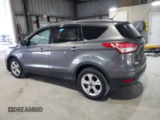 2013 Ford Escape SE with VIN 1FMCU0G96DUD77447, listed as a Copart auction lot 53120515 with 167,923 mi miles and Salvage title. Bid and sale history available at DreamBid. Image 2.