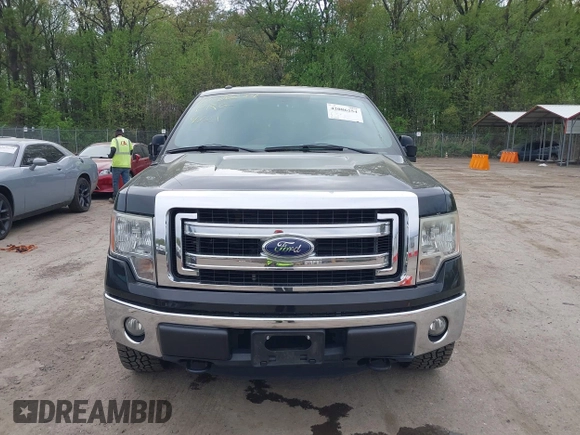 2013 Ford F-150 XL with VIN 1FTFW1EF0DFC53186, listed as a IAAI auction lot 42086254 with 172,075 mi miles. Bid and sale history available at carsss.com. Image 12.