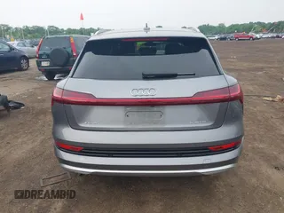 2022 Audi e-tron Premium with VIN WA1AAAGE1NB003892, listed as a IAAI auction lot 42391555 with 48,771 mi miles and . Bid and sale history available at DreamBid. Image 17.