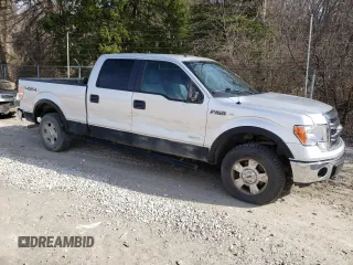2014 Ford F-150 XL with VIN 1FTFW1ET8EFC10691, listed as a Copart auction lot 49817555 with 241,581 mi miles and Salvage Title. Bid and sale history available at carsss.com. Image 4.