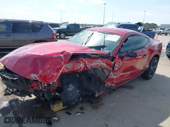 2024 Ford Mustang EcoBoost with VIN 1FA6P8TH8R5105669, listed as a IAAI auction lot 42054790 with Not provided miles and . Bid and sale history available at DreamBid. Image 6.
