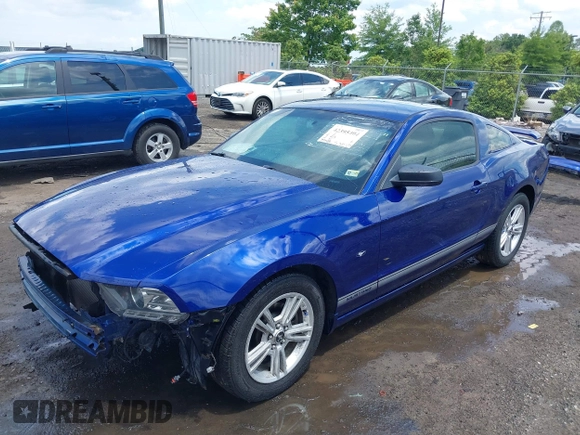 2013 Ford Mustang V6 with VIN 1ZVBP8AM4D5227735, listed as a IAAI auction lot 42395404 with 133,488 mi miles and . Bid and sale history available at DreamBid. Image 19.