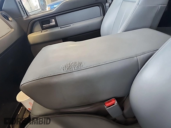 2014 Ford F-150 XL with VIN 1FTEX1CM9EKE58055, listed as a IAAI auction lot 42677815 with 174,052 mi miles and . Bid and sale history available at DreamBid. Image 21.