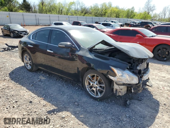 2011 Nissan Maxima SV with VIN 1N4AA5AP8BC800725, listed as a Copart auction lot 52021755 with Not Provided miles and Salvage Title. Bid and sale history available at DreamBid. Image 4.