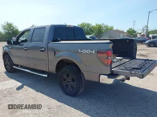 2010 Ford F-150 XL with VIN 1FTEW1E83AFD18282, listed as a IAAI auction lot 42653428 with 207,118 mi miles and . Bid and sale history available at DreamBid. Image 3.