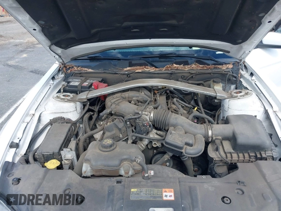 2014 Ford Mustang V6 with VIN 1ZVBP8EM4E5243008, listed as a IAAI auction lot 41572234 with 114,392 mi miles. Bid and sale history available at carsss.com. Image 10.