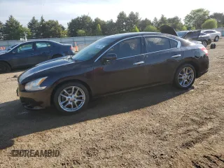 2010 Nissan Maxima SV z VIN 1N4AA5AP7AC855326, wystawiony jako Copart lot #55417355 z przebiegiem 78 497 mil mil oraz Szkoda całkowita • Salvage title. Historia ofert i sprzedaży dostępna na DreamBid. Obrazek 1.