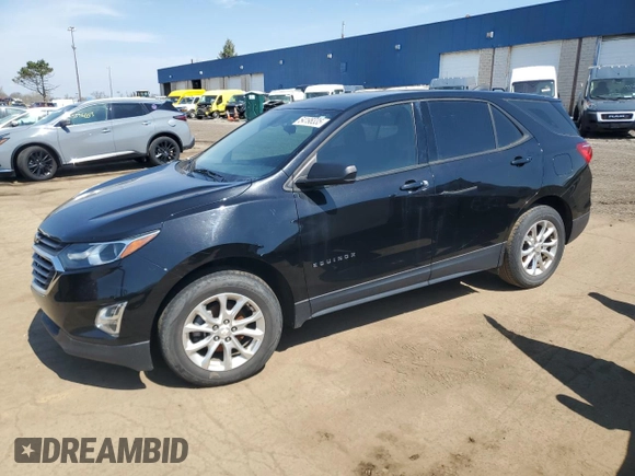 2018 Chevrolet Equinox LS with VIN 2GNAXHEV5J6202075, listed as a Copart auction lot 54198335 with 162,289 mi miles and Clean Title. Bid and sale history available at DreamBid. Image 1.