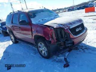 2010 GMC Yukon SLT with VIN 1GKUKCE02AR229075, listed as a IAAI auction lot 41315789 with 252,602 mi miles. Bid and sale history available at carsss.com. Image 1.