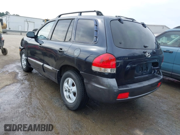 2005 Hyundai Santa Fe GLS with VIN KM8SC73D45U943575, listed as a IAAI auction lot 41676922 with 265,333 mi miles. Bid and sale history available at carsss.com. Image 3.