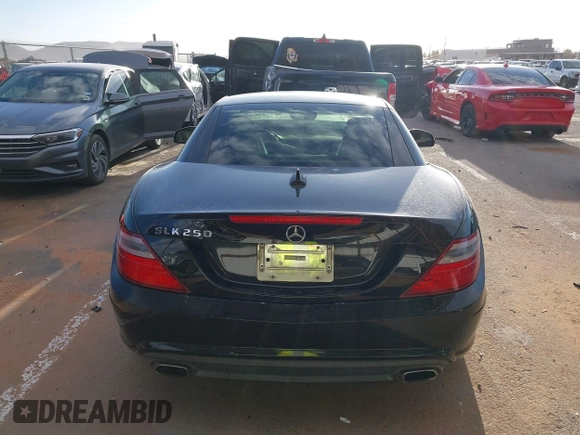 2013 Mercedes-Benz SLK 250 with VIN WDDPK4HA2DF072534, listed as a IAAI auction lot 41749467 with Not provided miles and . Bid and sale history available at DreamBid. Image 16.