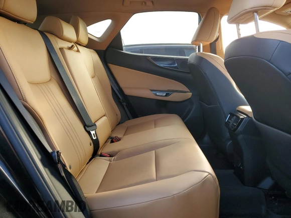 2022 Lexus NX with VIN 2T2AGCEZ7NC003608, listed as a Copart auction lot 80719474 with 48,854 mi miles and Salvage Title. Bid and sale history available at carsss.com. Image 11.