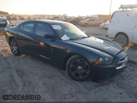2013 Dodge Charger RT with VIN 2C3CDXCT4DH696609, listed as a IAAI auction lot 41989773 with 118,148 mi miles. Bid and sale history available at carsss.com. Image 1.