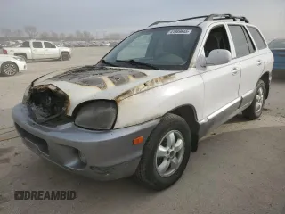 2005 Hyundai Santa Fe GLS with VIN KM8SC13E35U983152, listed as a Copart auction lot 41989645 with 0 mi miles and Salvage Title. Bid and sale history available at carsss.com. Image 1.