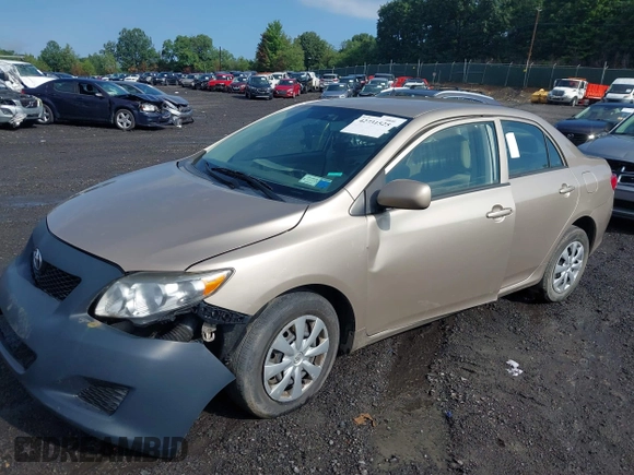 2010 Toyota Corolla with VIN 2T1BU4EEXAC250300, listed as a IAAI auction lot 42731525 with 58,548 mi miles and . Bid and sale history available at DreamBid. Image 2.