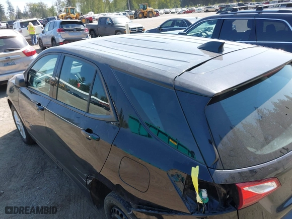 2019 Chevrolet Equinox LS with VIN 2GNAXHEV7K6212446, listed as a IAAI auction lot 42004161 with 123,863 mi miles. Bid and sale history available at carsss.com. Image 6.
