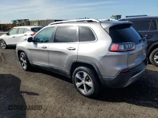 2019 Jeep Cherokee Limited with VIN 1C4PJLDB8KD123243, listed as a Copart auction lot 55253785 with Not provided miles and Non repairable. Bid and sale history available at DreamBid. Image 2.
