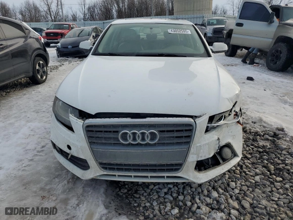 2010 Audi A4 2.0T Premium with VIN WAUAFAFL5AN026962, listed as a Copart auction lot 43052595 with 0 mi miles and Clean Title. Bid and sale history available at carsss.com. Image 5.