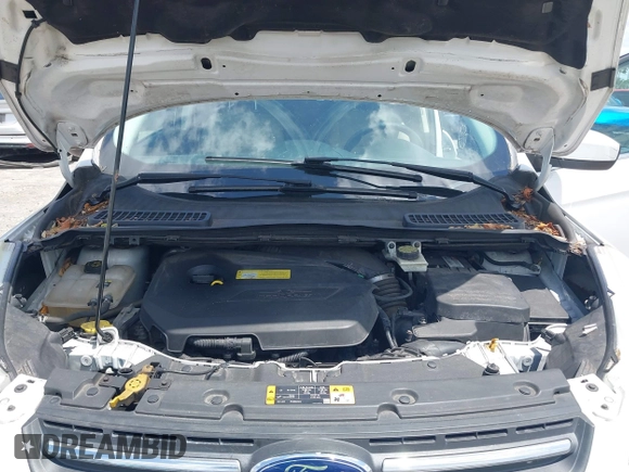 2013 Ford Escape SE with VIN 1FMCU0GX0DUC79223, listed as a IAAI auction lot 42077240 with 158,141 mi miles and . Bid and sale history available at DreamBid. Image 10.