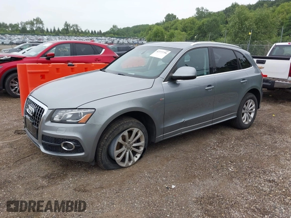 2011 Audi Q5 Premium Plus with VIN WA1DKAFP5BA013484, listed as a IAAI auction lot 42777756 with 193,930 mi miles and . Bid and sale history available at DreamBid. Image 2.