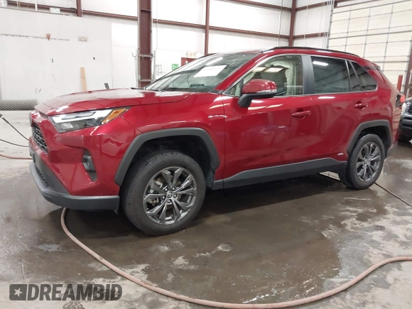 2023 Toyota RAV4 Hybrid XLE Premium with VIN JTMB6RFV4PD116495, listed as a IAAI auction lot 42588604 with 24,258 mi miles and . Bid and sale history available at DreamBid. Image 2.