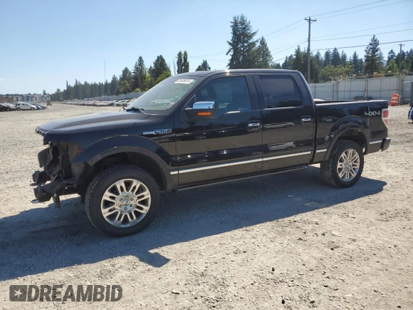 2009 Ford F-150 XL with VIN 1FTPW14V59FA44112, listed as a Copart auction lot 63436815 with 255,464 mi miles and Salvage title. Bid and sale history available at DreamBid. Image 1.