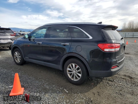 2016 Kia Sorento LX with VIN 5XYPGDA57GG001257, listed as a Copart auction lot 50191105 with 116,632 mi miles and Salvage Title. Bid and sale history available at DreamBid. Image 2.