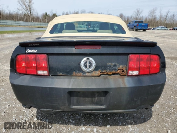 2007 Ford Mustang Deluxe with VIN 1ZVFT84N875365994, listed as a Copart auction lot 53210965 with 170,112 mi miles and Salvage Title. Bid and sale history available at carsss.com. Image 6.